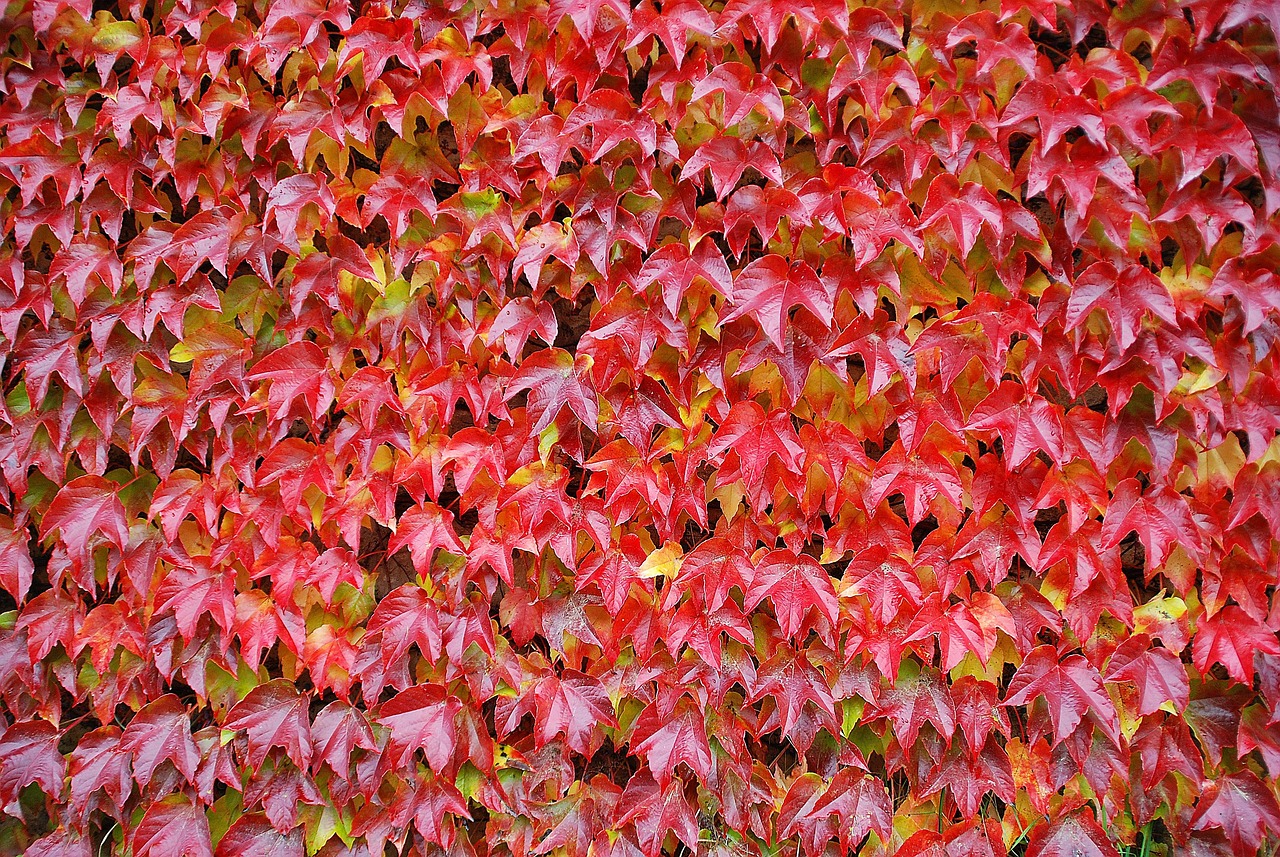 entdecken sie alles, was sie über rechnungen wissen müssen: erstellung, verwaltung und optimierung ihrer rechnungsvorgänge für unternehmen und selbstständige.