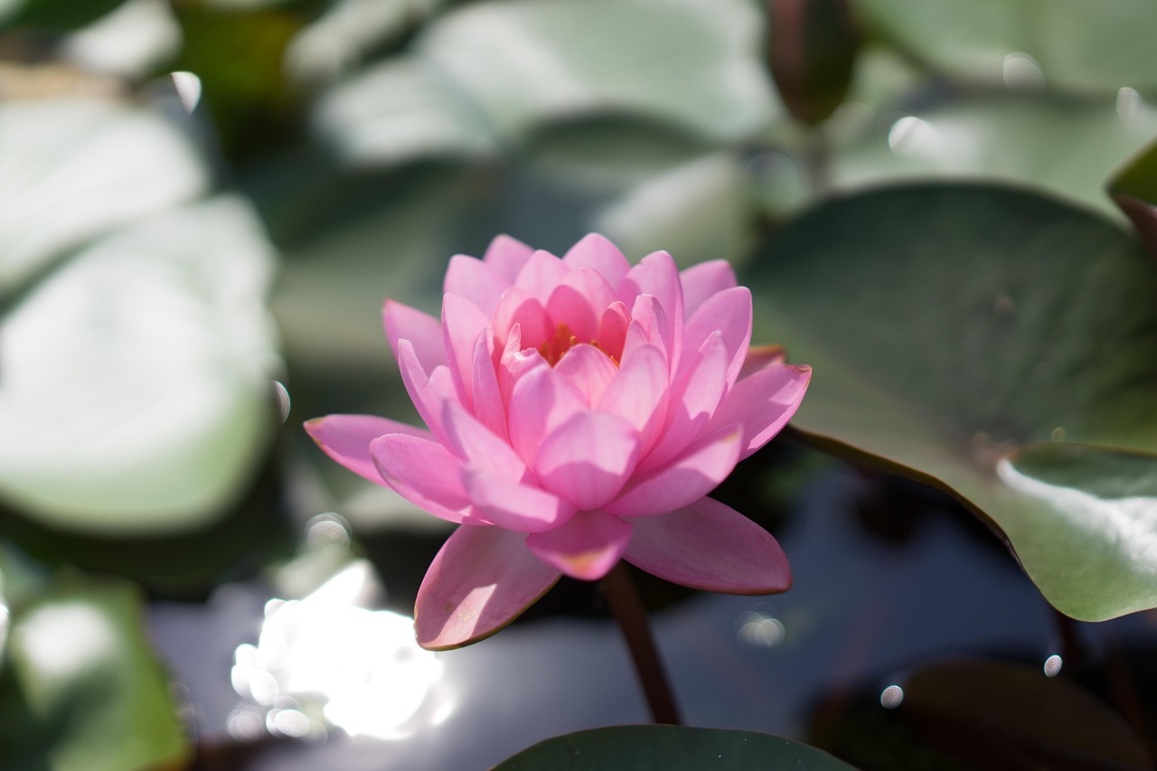 entdecken sie alles über li-fi – die innovative technologie, die drahtlose datenübertragung mittels licht ermöglicht. erfahren sie mehr über funktionsweise, vorteile und anwendungsbereiche von li-fi.