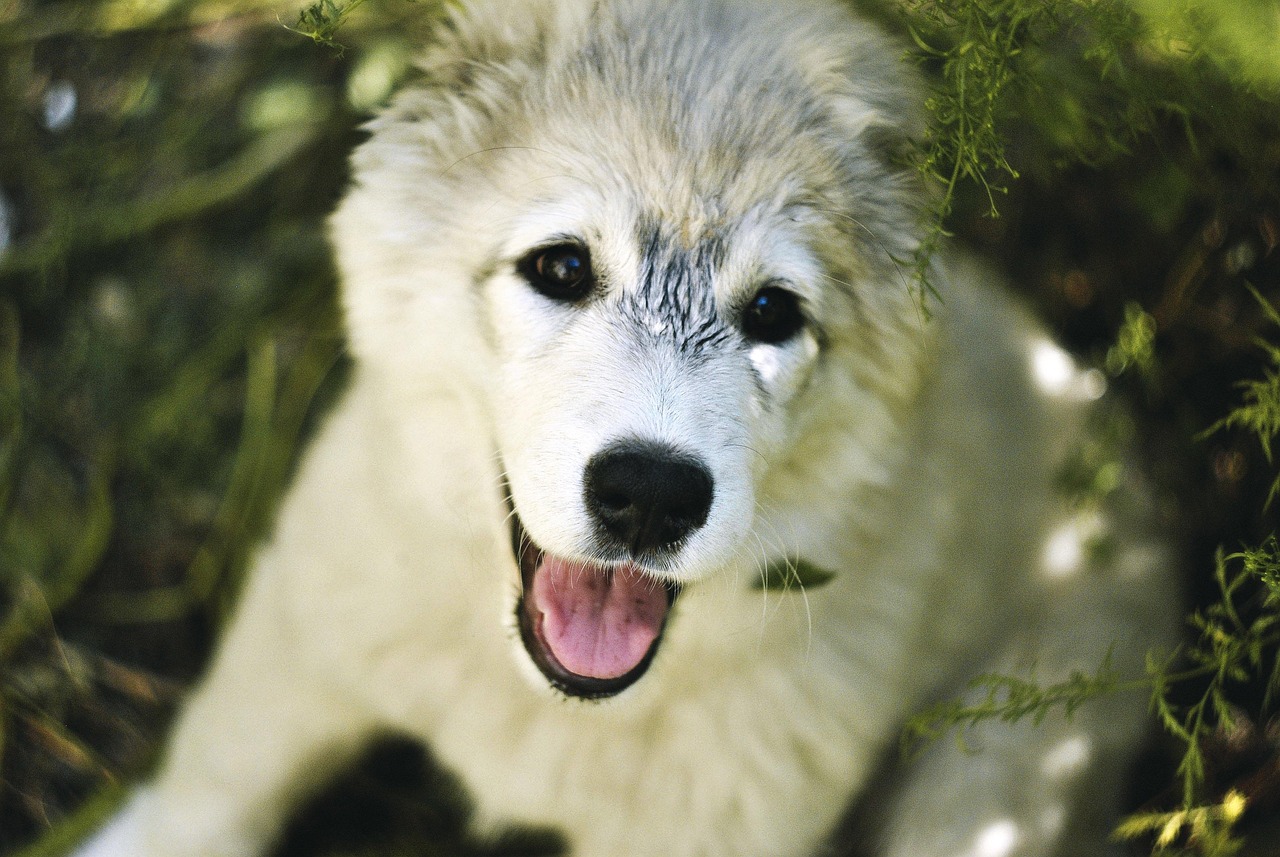 effektive lösungen zur geruchsentfernung: entdecken sie professionelle methoden und produkte, um unangenehme gerüche dauerhaft aus ihrem zuhause oder auto zu beseitigen.